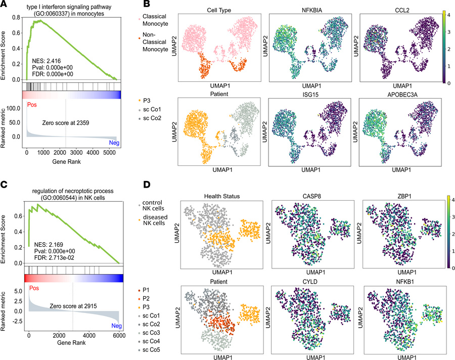 Activation of inflammatory and cell death pathways in RELA-perturbed pat...