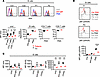Altered NF-κB signaling in patient lymphocytes.