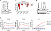Impaired negative feedback control of NF-κB in patient cells and RELAR198*