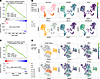Activation of inflammatory and cell death pathways in RELA-perturbed patien