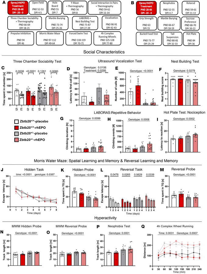 Experimental outline and Zbtb20+/– impairments in ASD domains.
(A and B)...