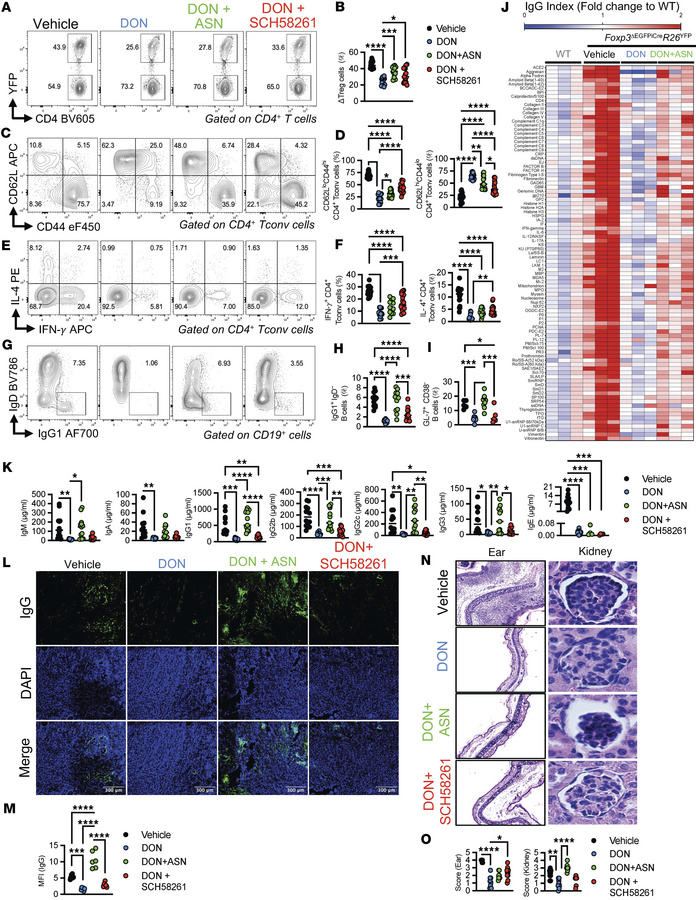 Inhibition of glutamine usage controls activation of autoreactive T and ...