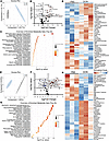 In vivo glutamine blockade in Foxp3-deficient mice alters T and B cell meta