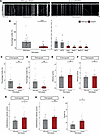 MFN2R94Q/+ reduces mitochondrial trafficking.
