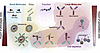 Representative overview of existing and novel therapeutic modalities.