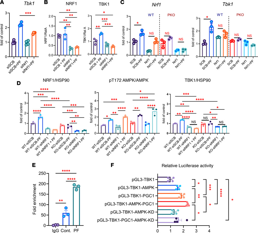 NRF1 acts as the downstream transcriptional effector of AMPK and PGC1α t...