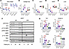 Obesity blunts the AMPK/TBK1 feedback loop during fasting.