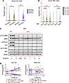 Tbk1 expression in murine and human adipocytes correlates with obesity and