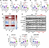 Inhibition of TBK1 by amlexanox promotes fat mass loss during fasting.