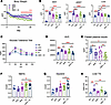 Combined TBK1 inhibition and AMPK activation improve metabolic health in ob