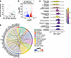 RNA-seq reveals upregulation of junctional proteins with GDF15 knockdown.