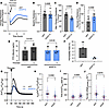 GDF15 Knockdown is associated with decreased change in permeability in resp