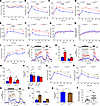 Peroxisomes are critical for maintenance of glucose tolerance and β cell fu