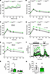 Reduced peroxisomal function in the β cells of female mice has no impact on
