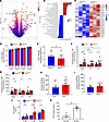 Loss of peroxisomal function correlates with increased oxidative phosphoryl