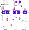 Loss of functional peroxisomes correlates with increased abundance of postt