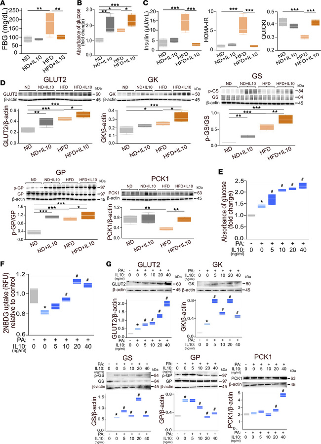 IL-10 promotes hepatic glucose content in HFD-fed mice and normal human ...