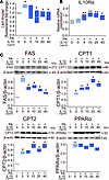 IL-10 suppresses hepatic lipid accumulation in NHHs.
