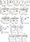 IL-10 promotes hepatic glucose content in HFD-fed mice and normal human hep