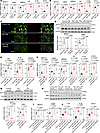 Tenascin-C is a local catalyst of inflammation.