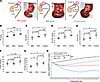 Nutritional status evaluations after RITx in disease models.
