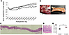 Long-term outcomes in the RITx group.
