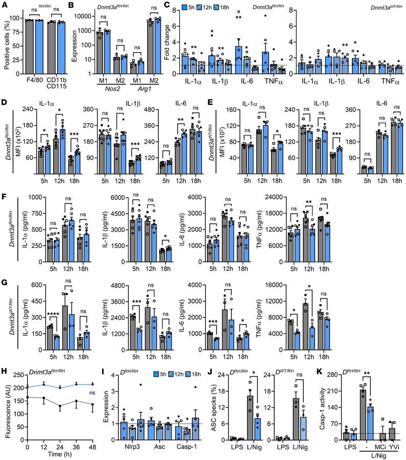 Dnmt3aRH mutation decreases macrophage cytokine release and inflammasome...