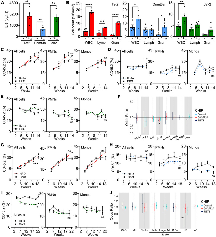 Systemic inflammation and atherogenesis do not accelerate clonal expansi...