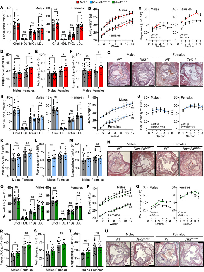 CHIP models have mutation and sex-dependent effects on atherosclerosis i...