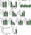 Jak2VF mutation does not alter macrophage cytokine release or inflammasome