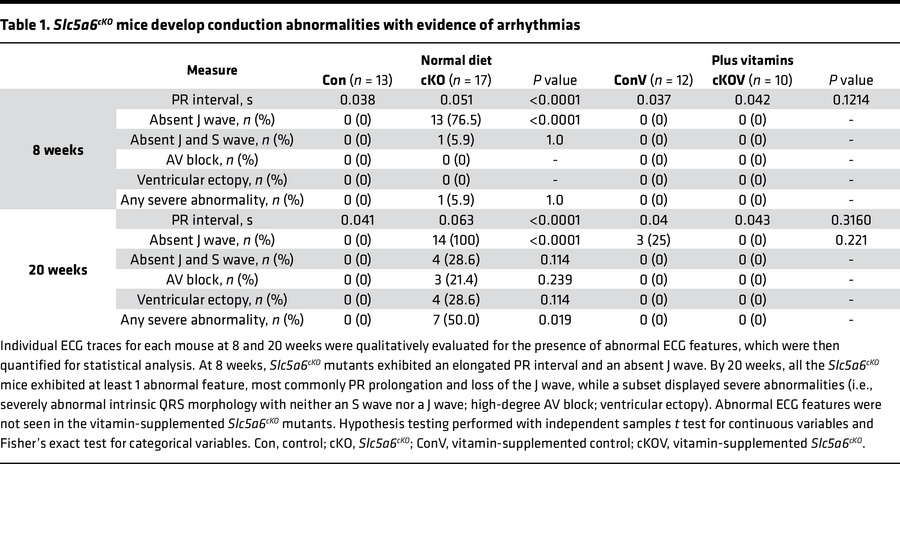 
Slc5a6cKO mice develop conduction abnormalities with evidence of arrhyt...