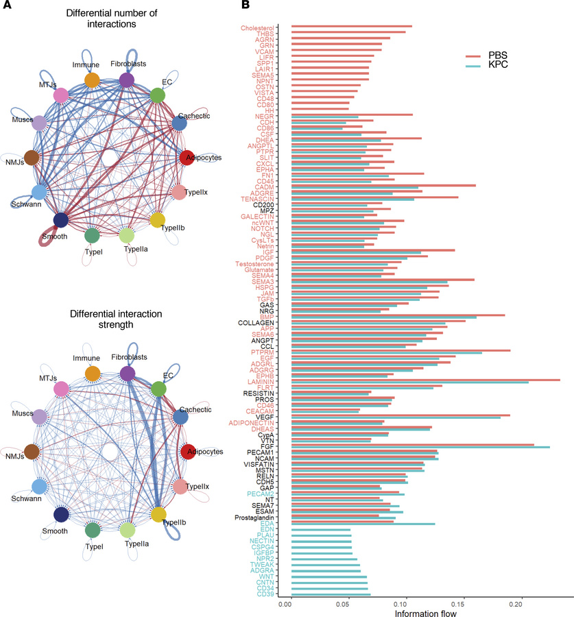 Alterations in inferred intercellular communications in skeletal muscle ...
