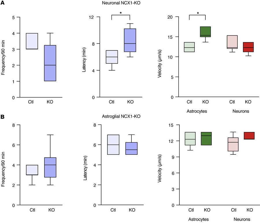 Neuronal, but not astroglial, NCX1 deletion modulates spreading depolari...