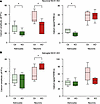 Neuronal and astroglial NCX1 deletion differentially modulate calcium chang