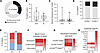 Peripheral inflammation as a predictor of postsurgical epilepsy prognosis.