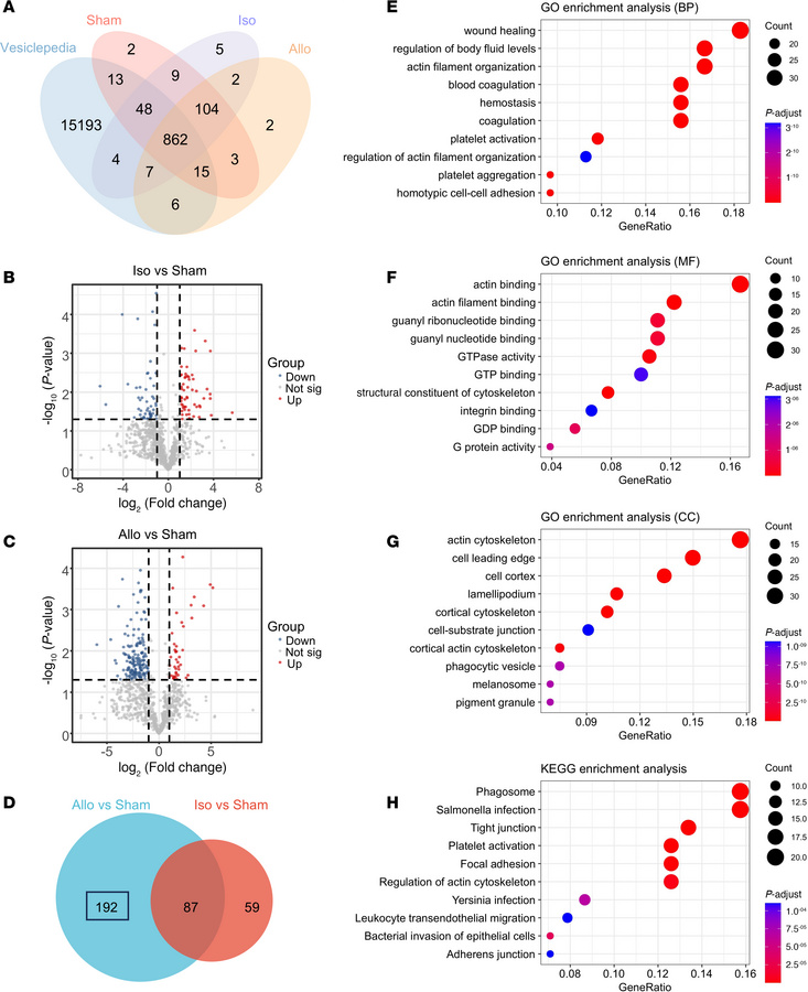 Proteomic profiling of plasma-derived EVs in cardiac allograft rejection...
