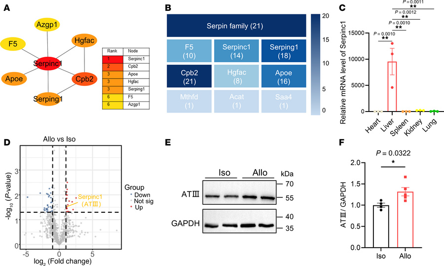 Hepatic EV protein signatures in cardiac allograft rejection.
(A) Protei...