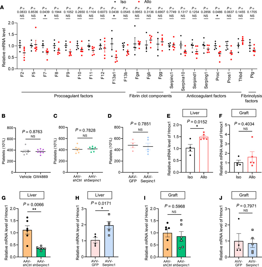 Evaluation of coagulation parameters and regulation of the heme oxygenas...