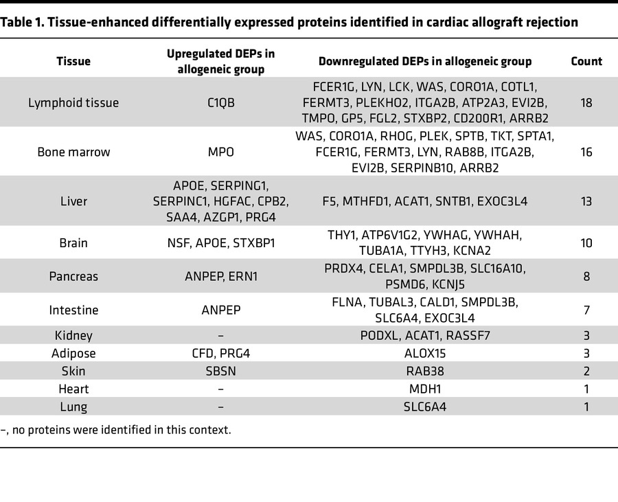 Tissue-enhanced differentially expressed proteins identified in cardiac ...