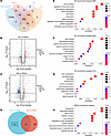 Proteomic profiling of plasma-derived EVs in cardiac allograft rejection.