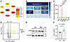 Hepatic EV protein signatures in cardiac allograft rejection.