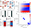 Network model predicts mechanisms of DYRK1A-mediated CM cell cycle activity