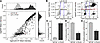 LCTB-92 increases late-stage cell cycle activity and decreases multinucleat