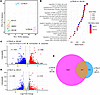 LCTB-92–treated NRCMs exhibit transcriptomic signatures associated with cel