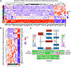 Network model predicts drug-induced E2F1-mediated transcriptional activity.