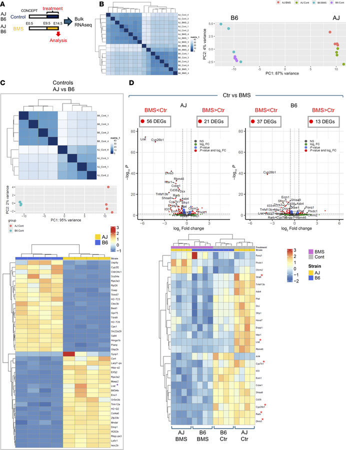 AJ and B6 developing lungs have distinct gene expression signatures unde...