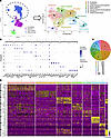 Single-nucleus multiomics identifies multiple subpopulations of lung mesenc