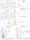 Cluster 2 cells are enriched in regulators of SM program and respond differ
