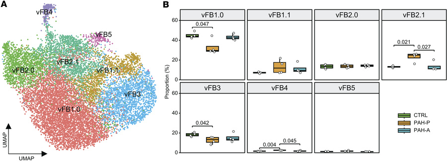snRNA-seq reveals right ventricular fibroblast cell state remodeling in ...