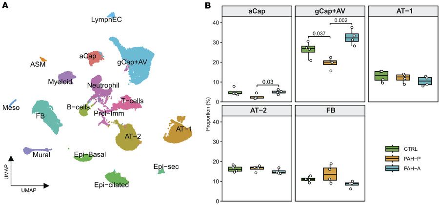 snRNA-seq reveals altered pulmonary cellular composition in pulmonary ar...